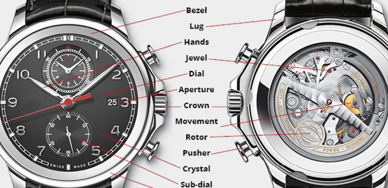 Diagram of a Watch - Timepiece Anatomy 