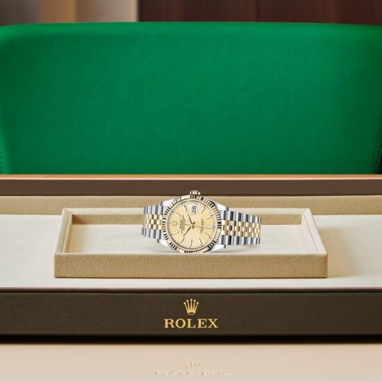 Rolex tray 2024